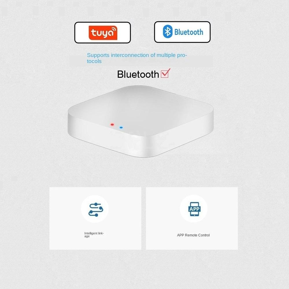 Tuya / Smart Life Gateway Hub  - Smart Home Registration incelemesi ve fiyatı